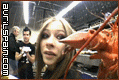 04.gif