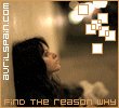 05.gif