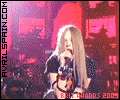 20.gif