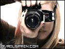 43.gif
