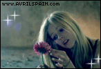 02.gif