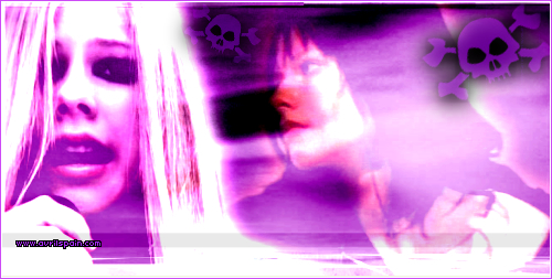 purple.jpg