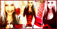 rose.jpg