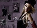 Filename=glamurouswall.jpg
Filesize=422KiB
Dimensions=1024x768
Date added=%898 %23, %2006 glamurouswall.jpg