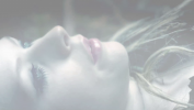 vlcsnap-2011-02-28-22h51m44s167.png