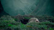 vlcsnap-2011-02-28-22h52m12s192.png
