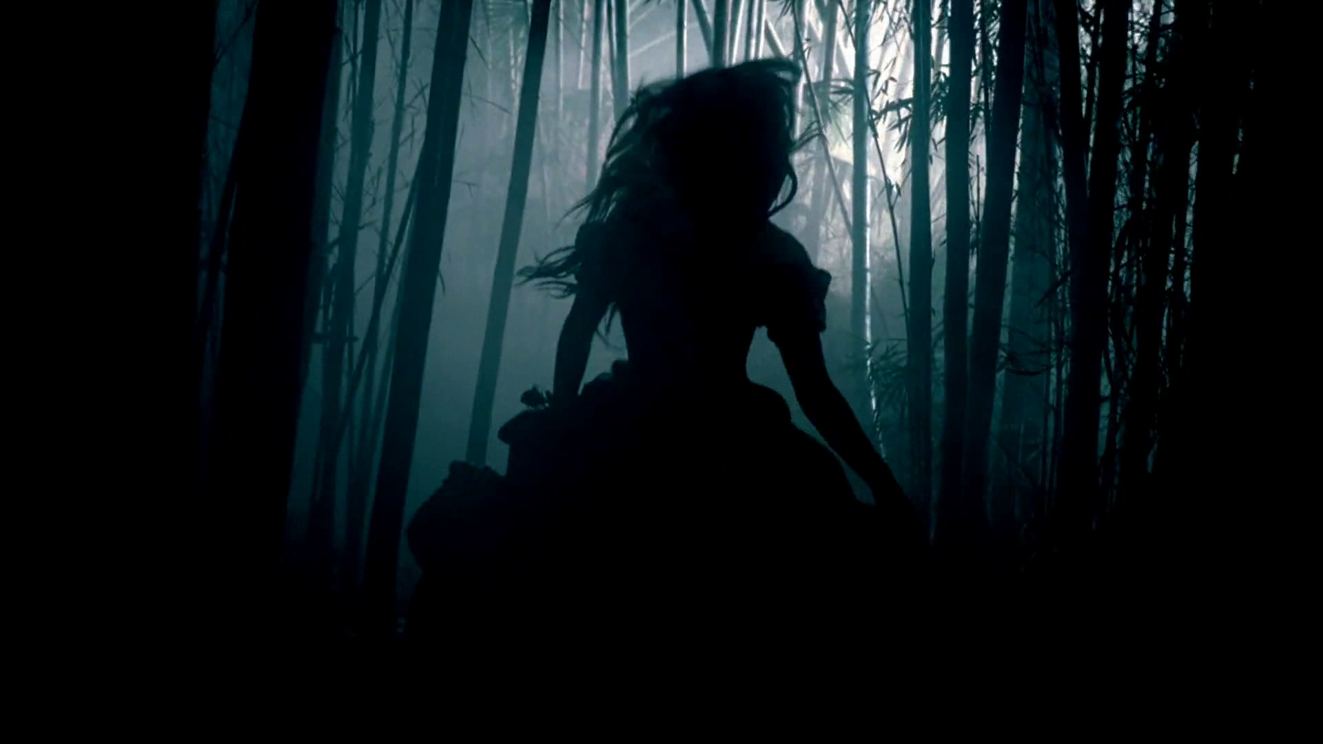 vlcsnap-2011-02-28-22h53m54s185.png