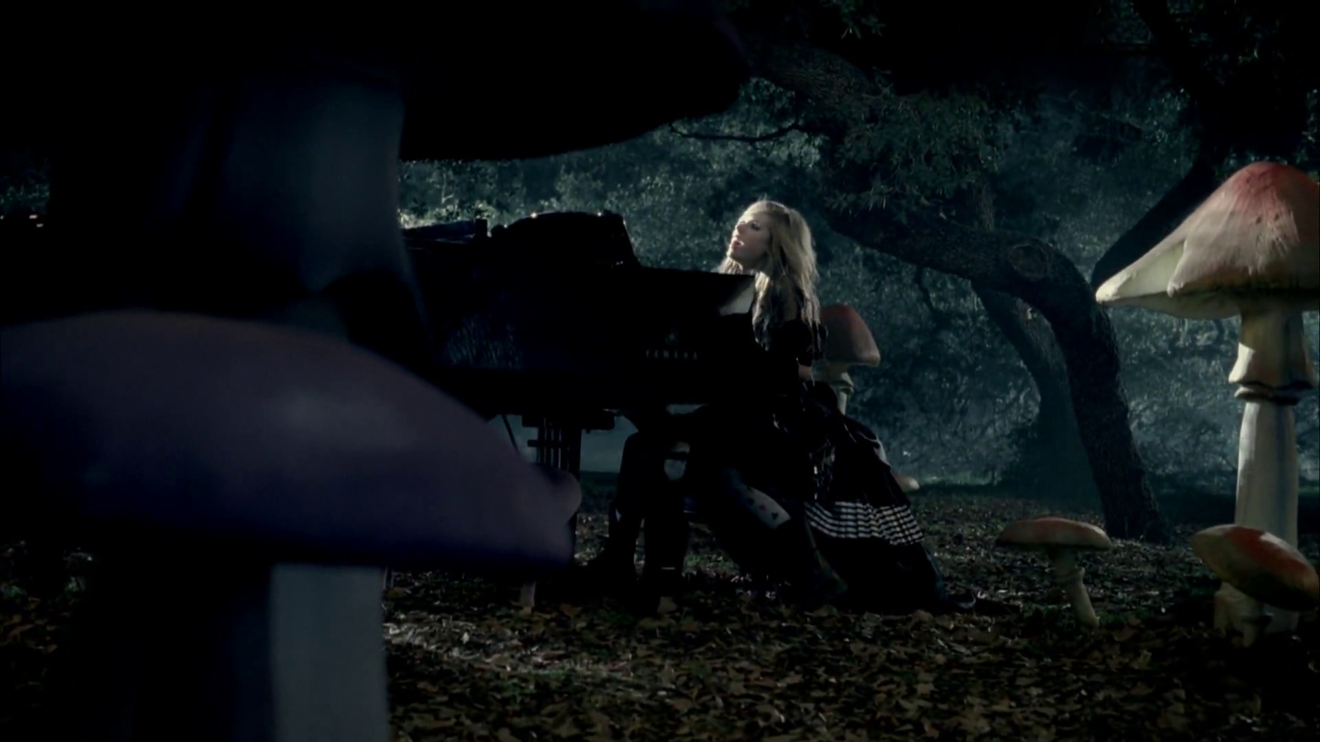 vlcsnap-2011-02-28-22h53m58s222.png