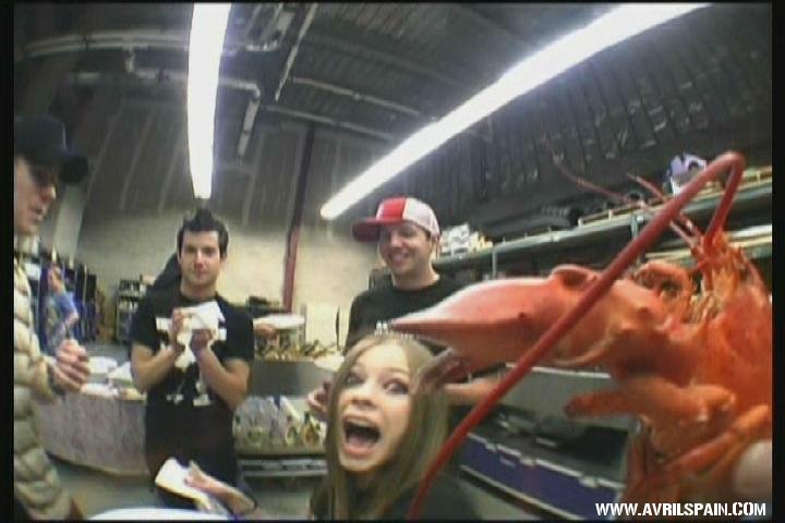 avs2.JPG