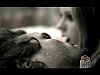 Filename=Bitmap-82.jpg
Filesize=20KiB
Dimensions=640x480
Date added=%820 %07, %2005 Bitmap-82.jpg
