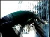 Filename=My_World-71.jpg
Filesize=39KiB
Dimensions=768x576
Date added=%928 %07, %2005 My_World-71.jpg