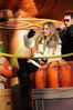 thanksgiving_28829.jpg