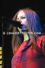 Conneticut_28629.jpg