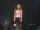 Phoenix_28329.jpg