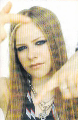 06.JPG