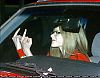 avril-lavigne-612-n23086.jpg